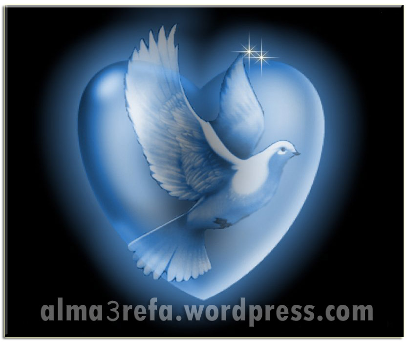 حمامة القلب