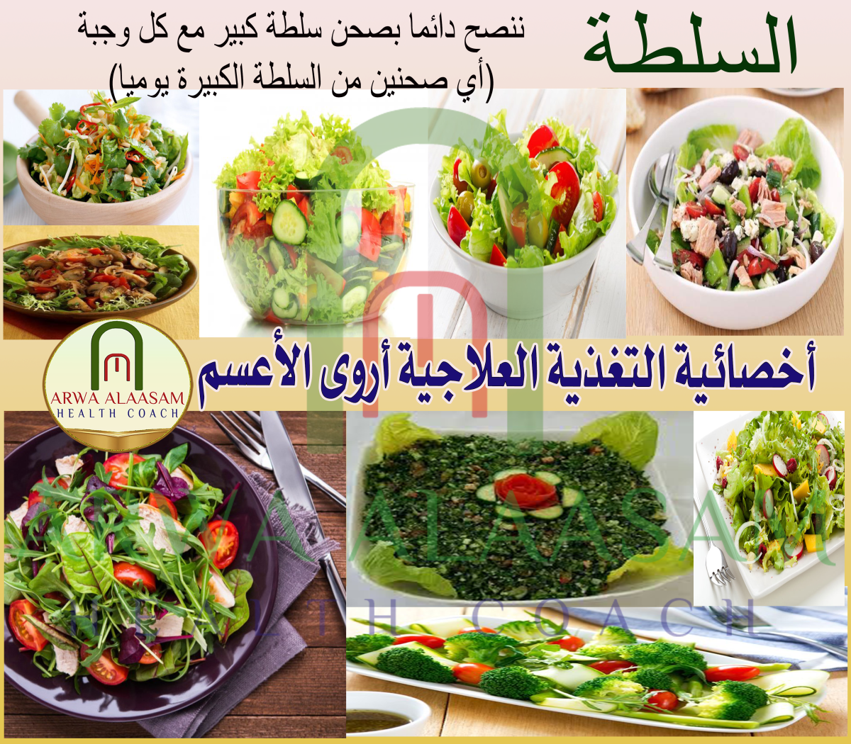 🍋🍀🥗 السَـلـطـة 🥗🥒🍅