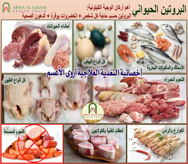 البروتين الحيواني
