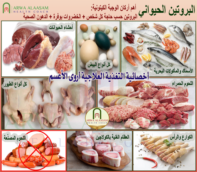 البروتين الحيواني