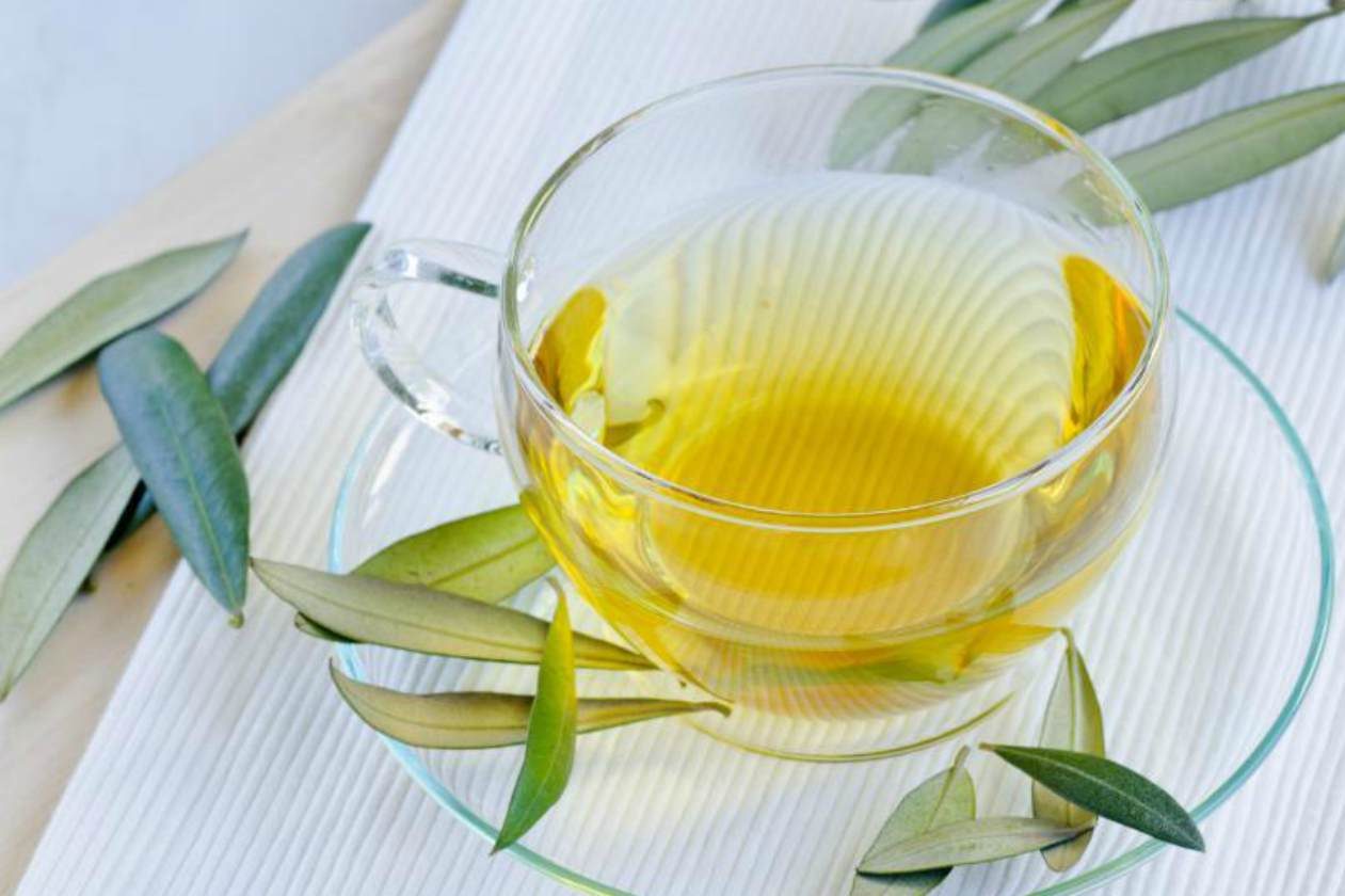 فوائد منقوع ورق الزيتون