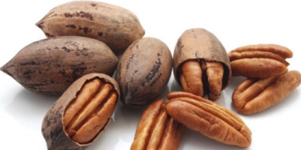 الجوز البرازيلي