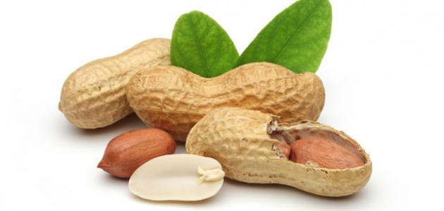 فستق عبيد (الفول السوداني)