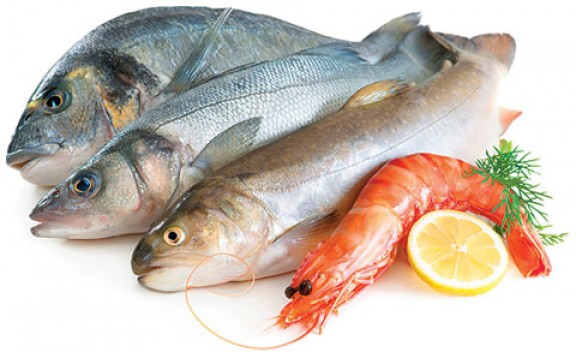 دهون الأسماك الدهنية